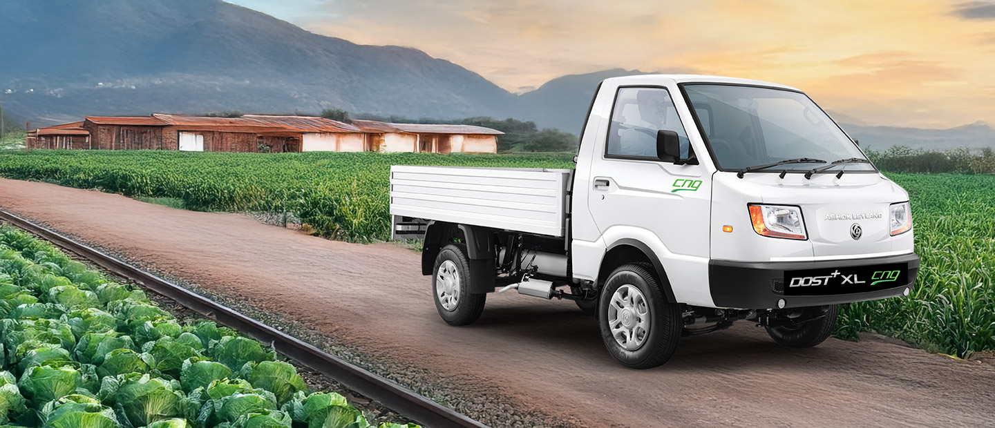 DOST XL CNG product view