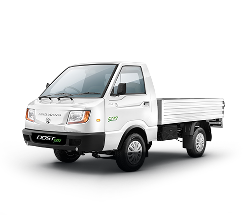 Dost cng